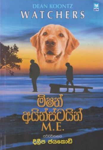 මිෂන් අයින්ස්ටයින්